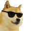 ICS_hell_kutte_ka_swag