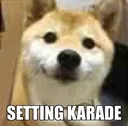 zZ_dogeSettingKarade Discord Emoji