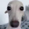 scared