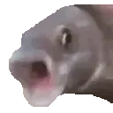 PogFish PogFish