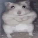 hamter_fear