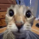 Yooo