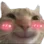 kittyblush