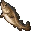 Cod