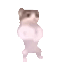 Cat Pls CatPls Discord Emoji