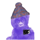 carter