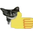 Thumbs Up Cat thumbsupcat Discord Emoji