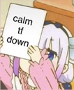 1_6MISC8memecalmitdown Discord emoji