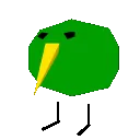 kiwiboogie