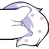 WhiteCatFeet