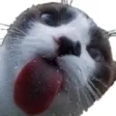Mlem