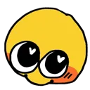 PLSlook