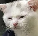 atwhatcost