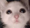 bigweteyes