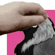 petthenate