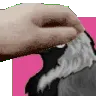 natepet