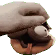 Baconpet