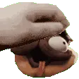 Baconpet
