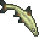 Minnow
