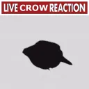 LCR