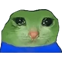 pepe_sadcat
