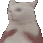 shake