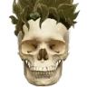 skull skull