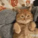 hugtime