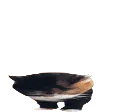 boinkboinkboinkboinkboink