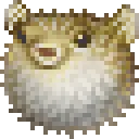 Pufferfish