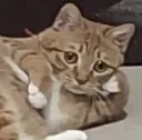 Concern Concern