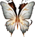 FireButterfly FireButterfly