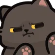 cat7_fight