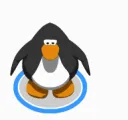 ClubpenguinHello