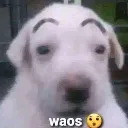 waos