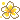 flower13