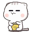 L_Popcorn