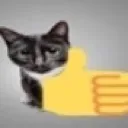 Cat_thumbsup