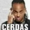 Cerdas