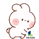 fknexon