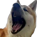 JiroAAAA
