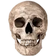 cmcSkull