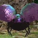 dougthebug