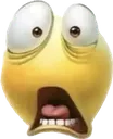 Y_OMG