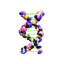 DNA