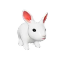 WhiteRabbit