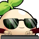 hackerPesto