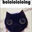 boioioing