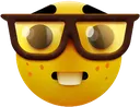 nerdfacecoverremovebgpreview Discord Emoji