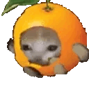 orangecatrun Discord Emoji